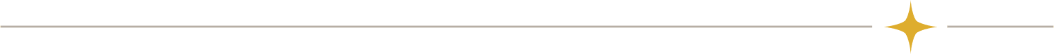 horizontal-divide horizontal-divide